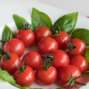 Cherry_Tomato