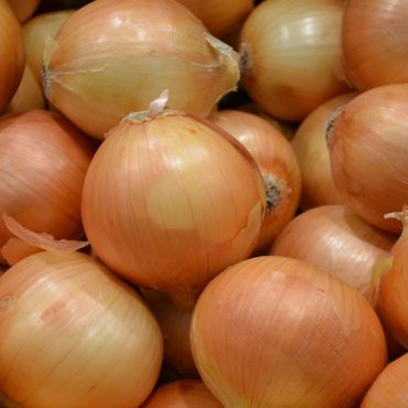 Onion