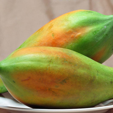 Papaya