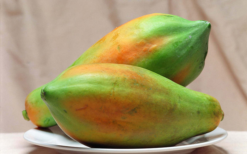 Papaya