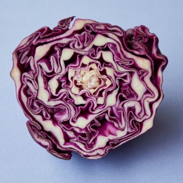 Red_Cabbage