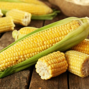 Sweet_Corn